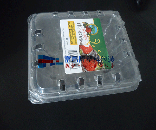 山东水果对折吸塑包装盒